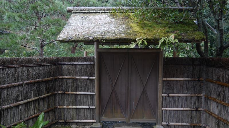 屋根の苔も風情ありますな