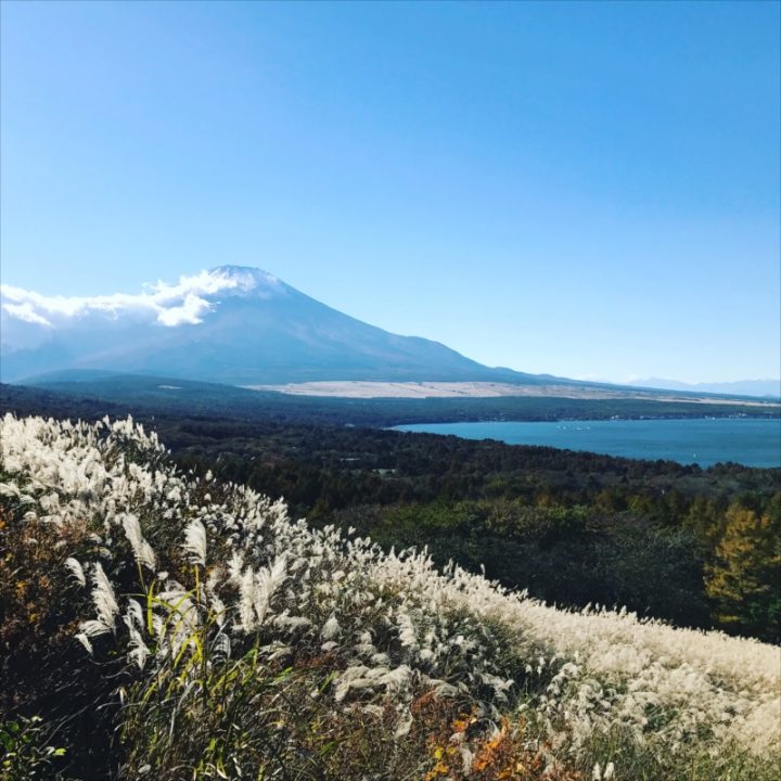 パノラマ台からの景色