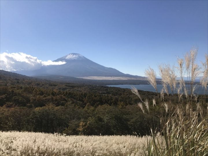 手前のススキ野原がいいですね